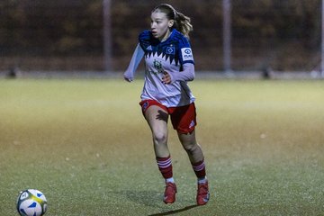 Bild 320 - F SC Alstertal-Langenhorn - Hamburger SV 3 : Ergebnis: 2:2